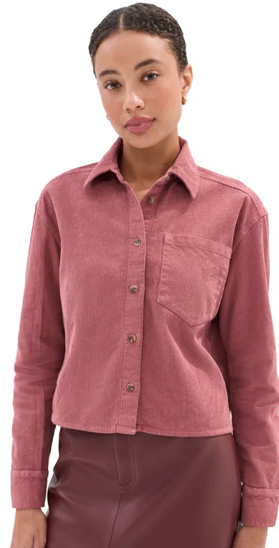 Le Bop Collins Corduroy Button Down Marsala In Brown