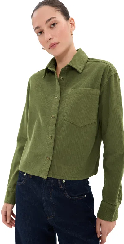 Le Bop Collins Corduroy Button Down Olive In Green