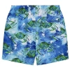 Le Club Resortwear 5.5" Le Club Mens Swim Trunk In Blue/green