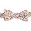 Le Colonel Men's Neutrals Terracotta Phoebe Liberty Bowtie In Orange