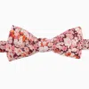 Le Colonel Men's Pink / Purple Liberty Pink Shasta Bow Tie