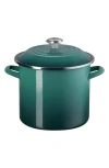 Le Creuset 10-quart Enameled Stainless Steel Stock Pot In Artichaut