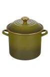 Le Creuset 10-quart Enameled Stainless Steel Stock Pot In Green