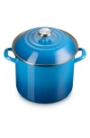 Le Creuset 10-quart Enameled Stainless Steel Stock Pot In Marseille