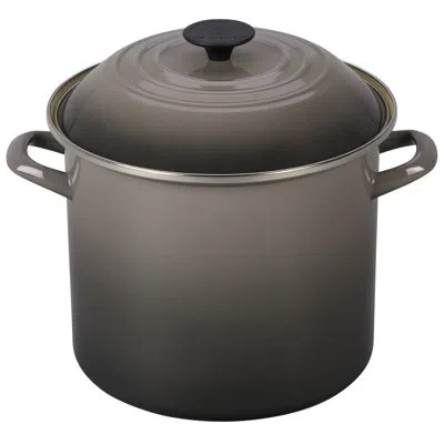 Le Creuset Enamel On Steel Stockpot With Lid In Oyster
