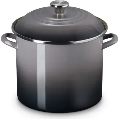 Le Creuset Enameled Stainless Steel Stockpot In Gray