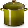 Le Creuset Enameled Stainless Steel Stockpot In Green