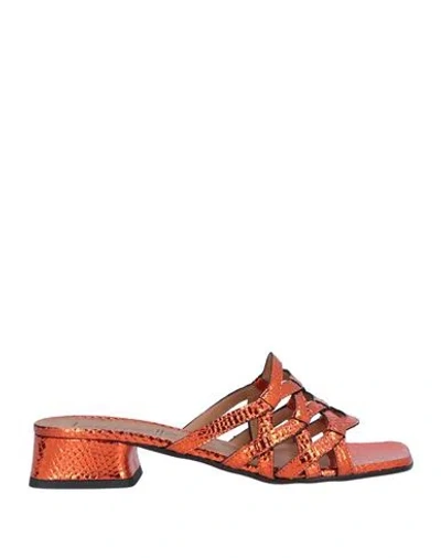 Le Gazzelle Woman Sandals Copper Size 10 Leather In Orange