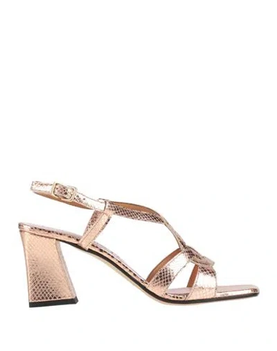 Le Gazzelle Woman Sandals Copper Size 6 Leather