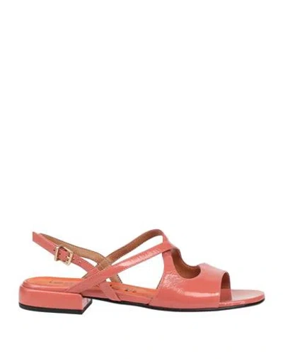 Le Gazzelle Woman Sandals Salmon Pink Size 6 Leather In Multi