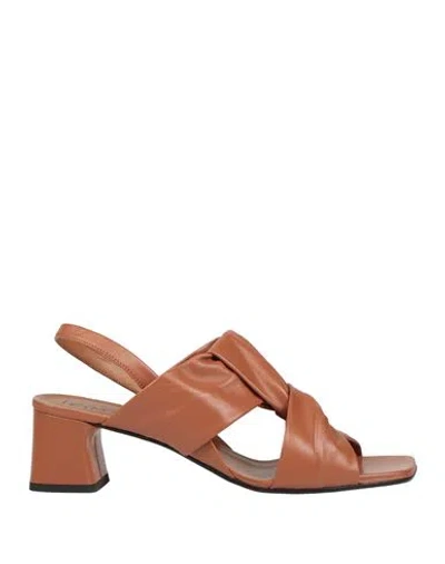 Le Gazzelle Woman Sandals Tan Size 11 Leather In Brown