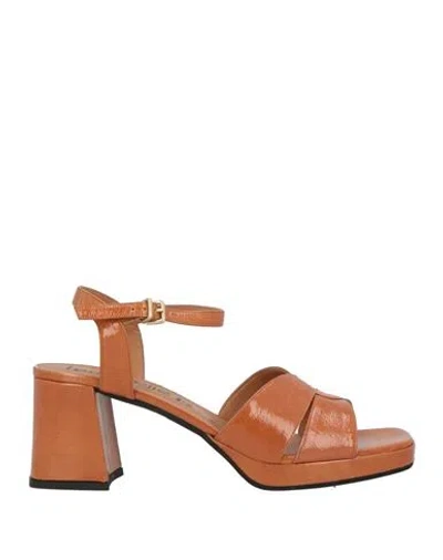 Le Gazzelle Woman Sandals Tan Size 6 Leather In Brown