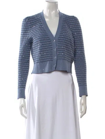 Pre-owned Le Lion Striped V-neck Sweater In Blue