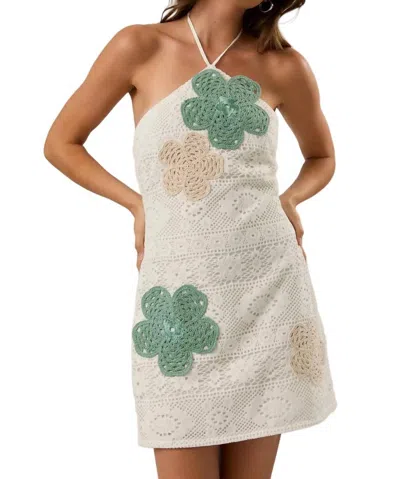 Le Lis Crochet Halter Mini Dress In Sage Green / White / Beige In Multi