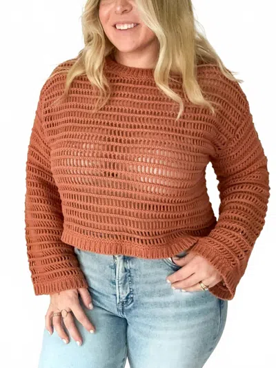 Le Lis Horizon Openwork Crochet Sweater In Rust In Brown