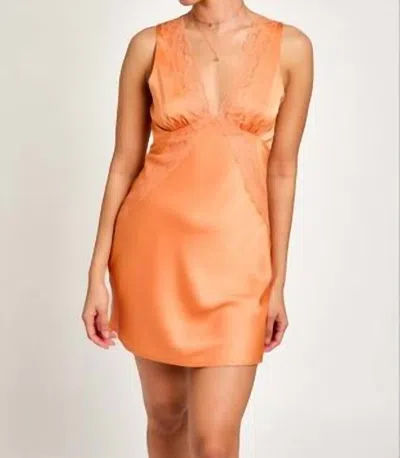 Le Lis Lace Trimmed Mini Dress In Orange