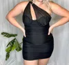 Le Lis Night Life One Shoulder Mesh Dress In Black