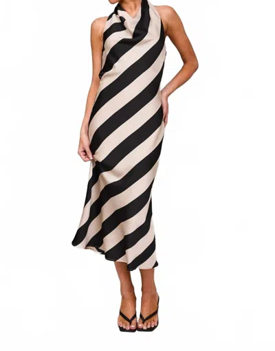 Le Lis The Halter Cowl Neck Midi Dress In Black & White