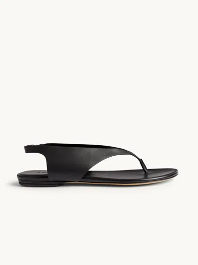 Le Monde Beryl Langley Thong Sandal Black It40