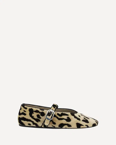 Le Monde Beryl Leopard Stella Ballerinas