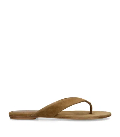 Le Monde Beryl Suede Flip Flops In Brown