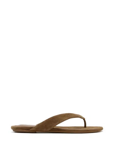 Le Monde Beryl Toe Strap Sandals In Brown