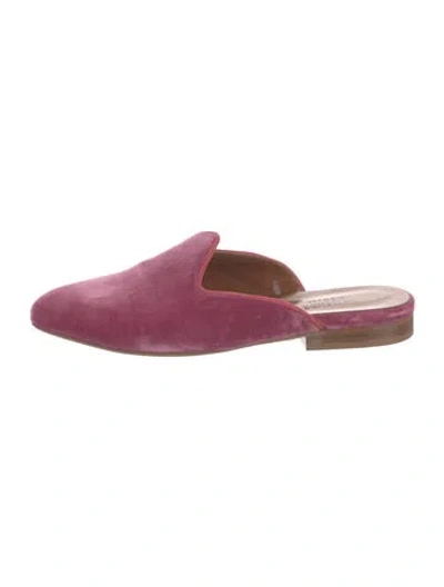 Pre-owned Le Monde Beryl Velvet Mules In Purple