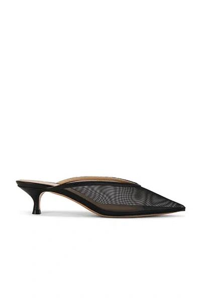Le Monde Bryl Le Monde B?ryl Venetian Kitten Heel Mule In Black
