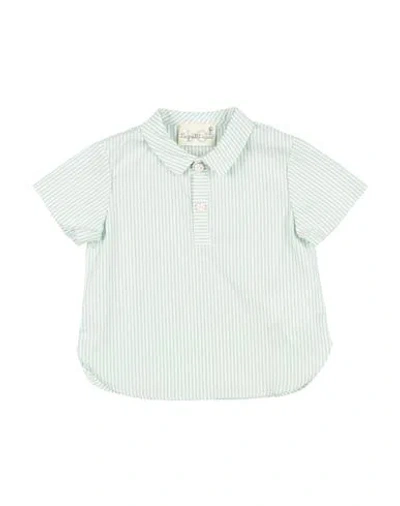 Le Petit Coco Babies'  Newborn Boy Shirt Sage Green Size 3 Cotton, Elastane