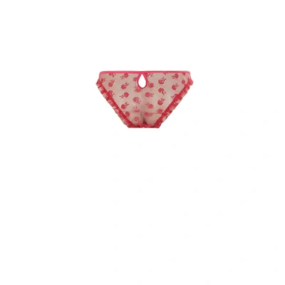 Le Petit Trou Rose Lace Briefs In Multi