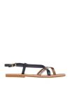 Le Salentine Woman Thong Sandal Navy Size 10 Leather In Black