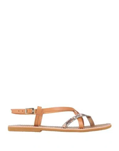 Le Salentine Woman Thong Sandal Tan Size 9 Cowhide In Brown