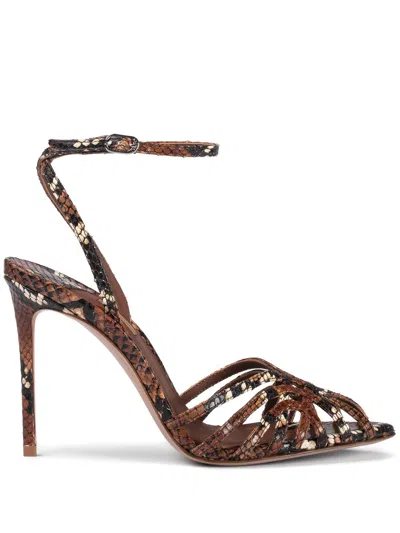 Le Silla 110mm Embrace Sandals In Braun