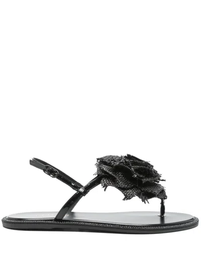 Le Silla Floral-appliqué Sandals In Black