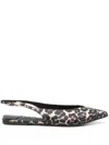 Le Silla Leopard Ballet Flats In Black
