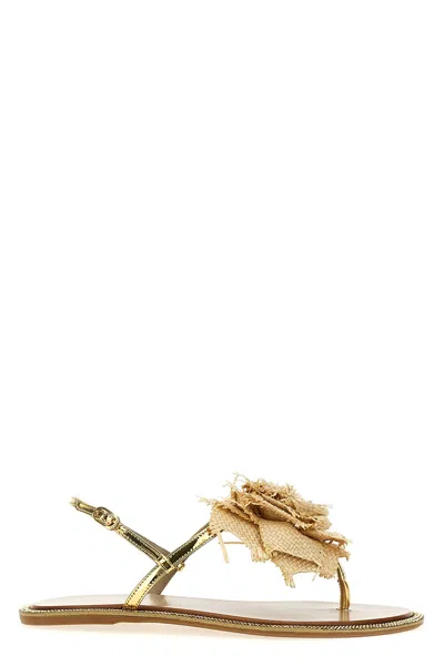 Le Silla 'rose' Sandals