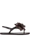 Le Silla Rose Sandals In Brown