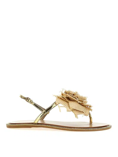 Le Silla 'flat Sandals Embellished With Flowers And Metallic Finish' In Gold