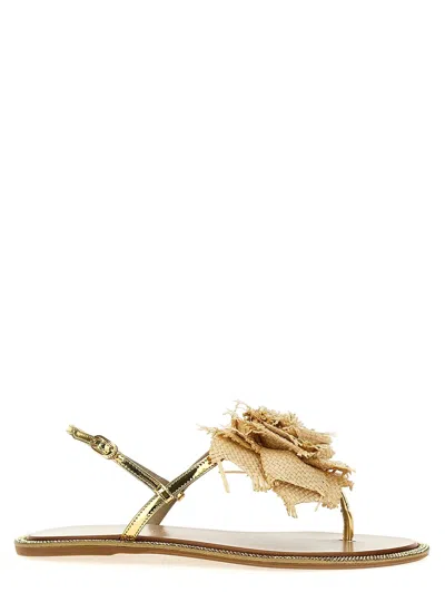 Le Silla Rose Raffia-weave Flat Sandals In Neutrals