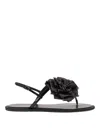 Le Silla Sandals In Black