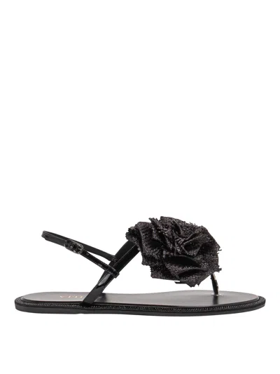 Le Silla Sandals In Black