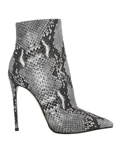 Le Silla Woman Ankle Boots Charcoal Size 6 Synthetisches Material In Gray