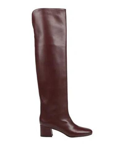 Le Silla Woman Boot Brown Size 6 Leather