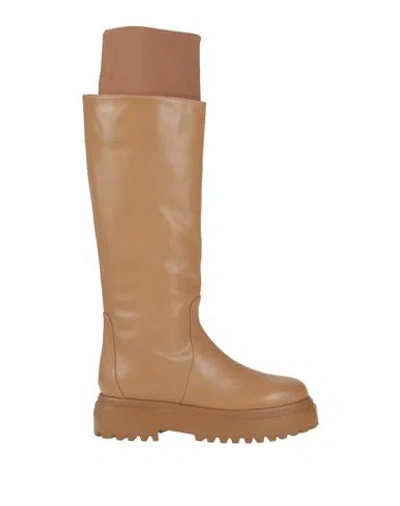 Le Silla Woman Boot Sand Size 9 Calfskin, Textile Fibers In Beige