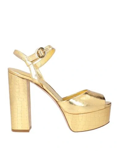 Le Silla Woman Sandals Gold Size 11 Synthetic Material