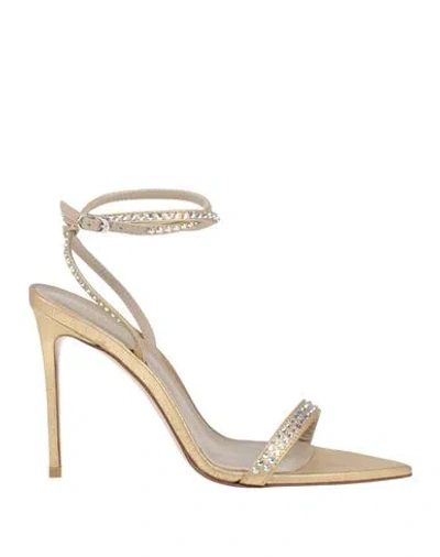 Le Silla Woman Sandals Gold Size 8 Leather