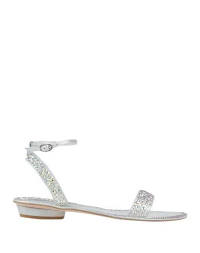 Le Silla Woman Sandals Silver Size 7 Leather