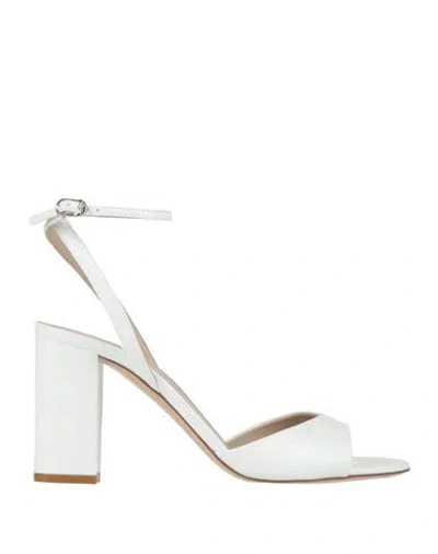 Le Silla Woman Sandals White Size 6.5 Leather