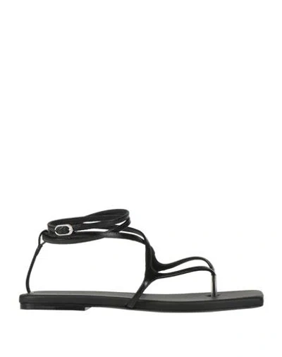 Le Silla Woman Toe Strap Sandals Black Size 11 Soft Leather