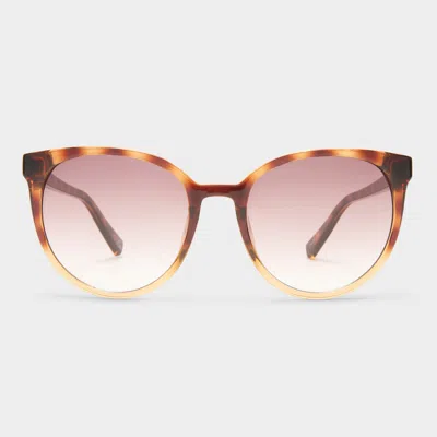 Le Specs Armada In Tort Grad